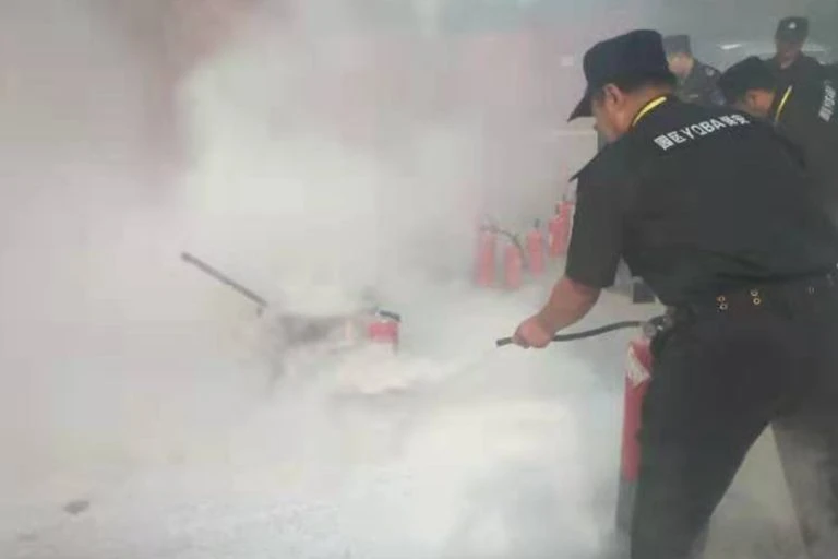 苏州工业园区保安服务有限公司